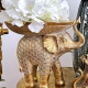 Ємність золота слон з тарілкою